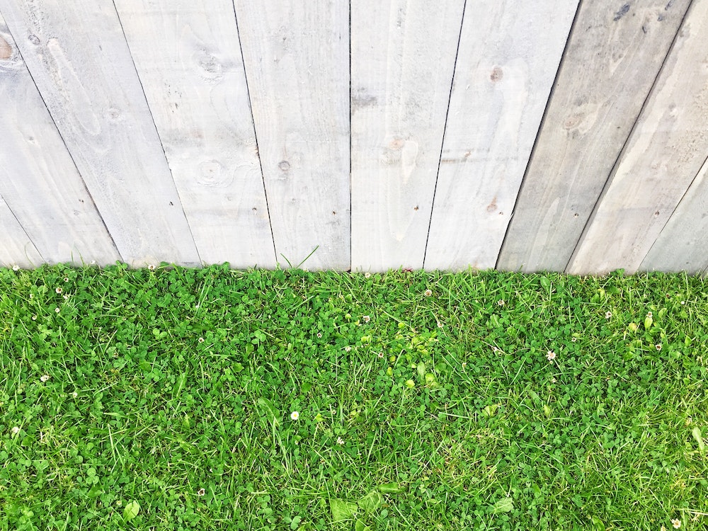 Clôture de jardin : l'art d'allier esthétisme et sécurité