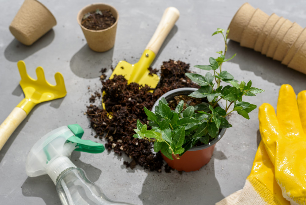 Le JardIn: Entretien saisonnier pour un jardin épanoui