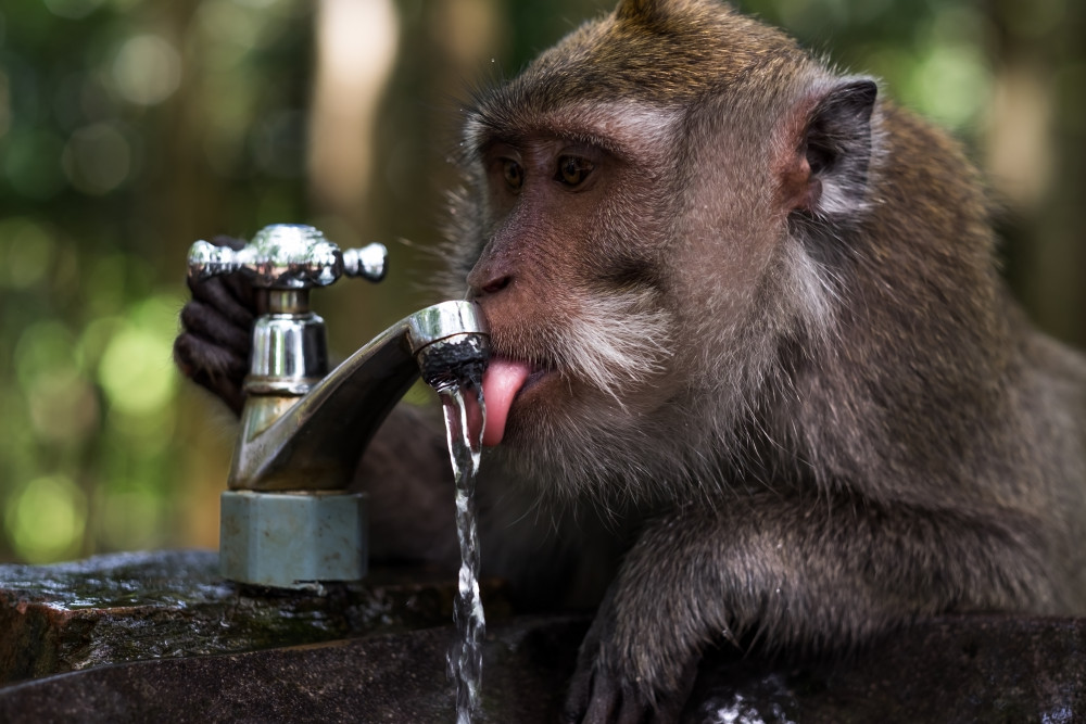 Recherche de fuites d'eau: assurance, dégâts des eaux, prix